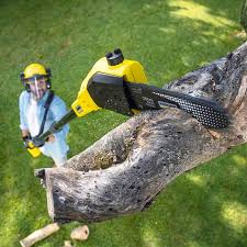 Best Lawn Watering Services  in Due West, SC